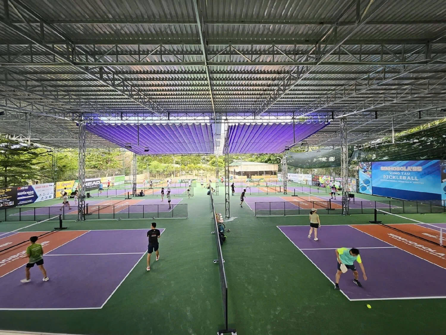Mẫu mái che sân pickleball bằng tôn